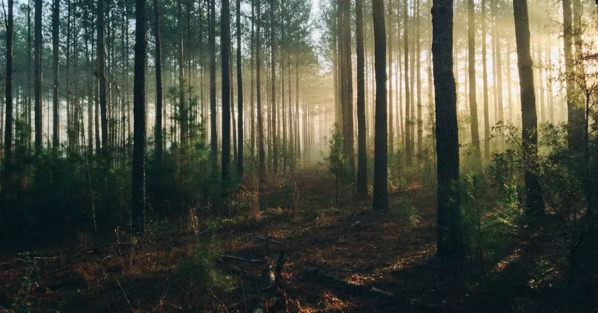 Meisterbetrieb Schuster Innenausbau – Innenausbau mit Liebe zum Detail
