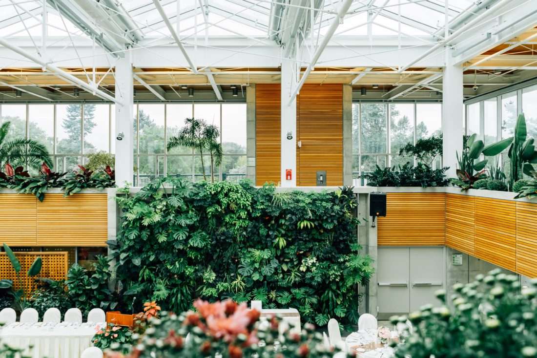 Schuster Innenausbau – Living wall – Ein Wandgarten für Ihr Zuhause